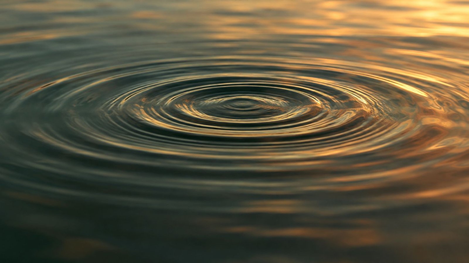 Concentric ripples spreading across still water at golden hour
